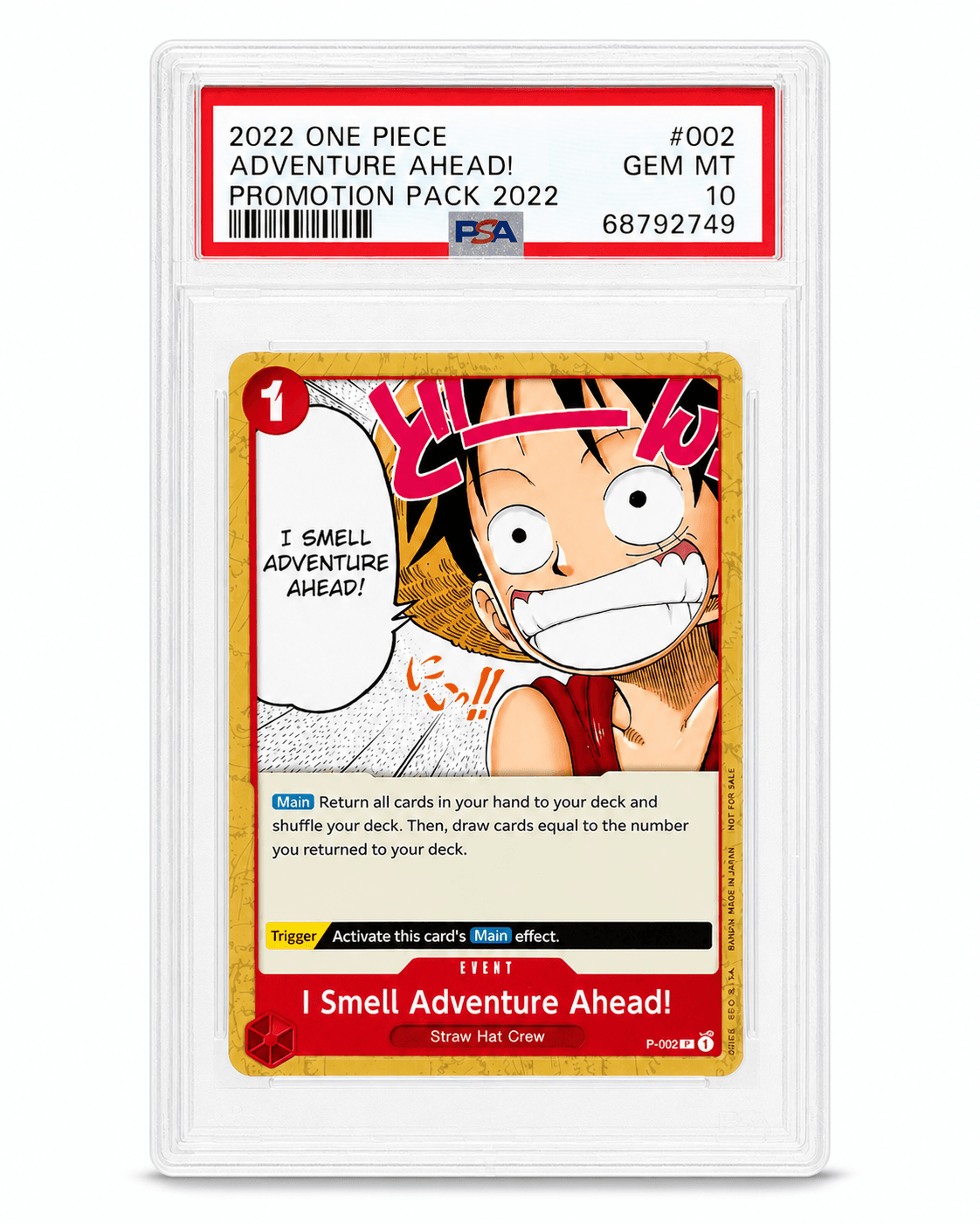 I Smell Adventure Ahead!